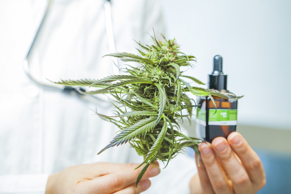 Medical Marijuana Treatment in COVID