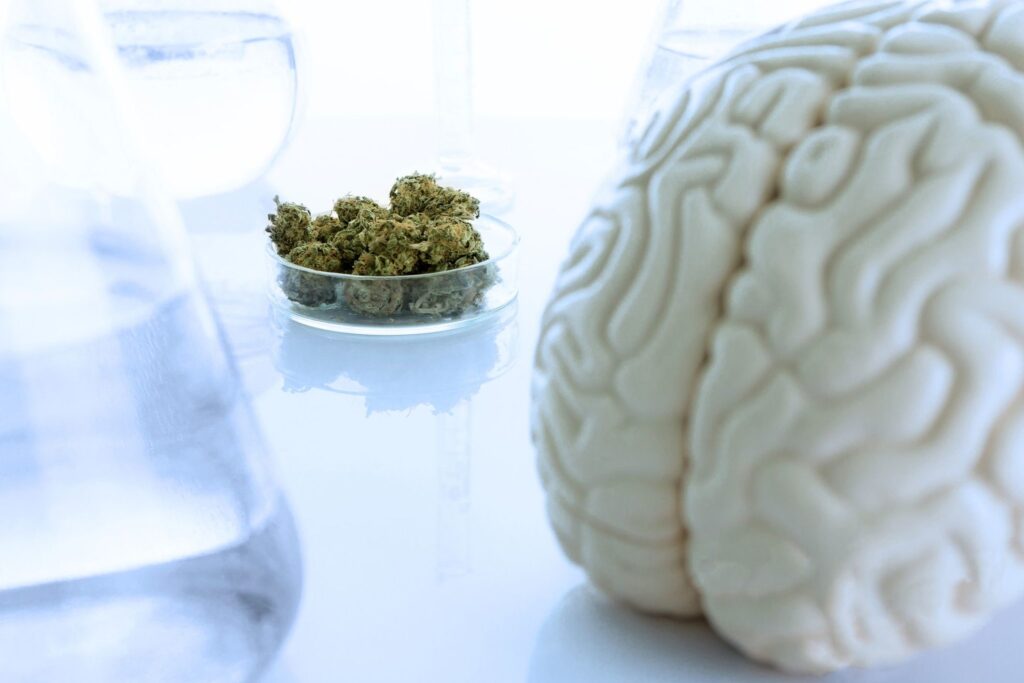 Understanding of Medical Marijuana and Migraines